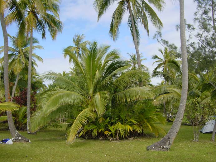 Lifou, WE du 15 aout 024