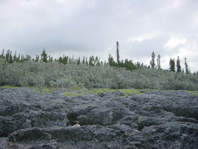 Lifou, WE du 15 aout 134