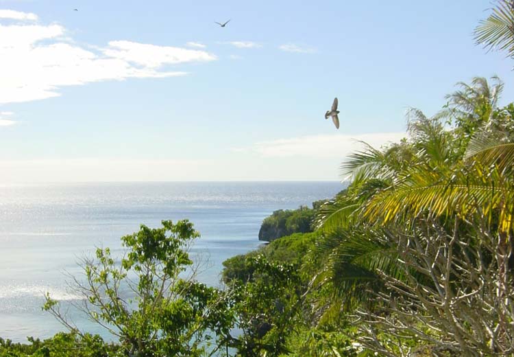 Lifou3 002