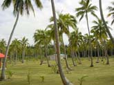Lifou, WE du 15 aout 028