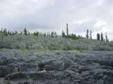 Lifou, WE du 15 aout 134