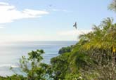 Lifou3 002