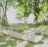 pirogue