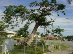 DSC00073