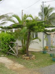 DSC00075