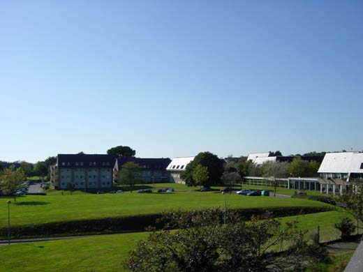 DSC00007